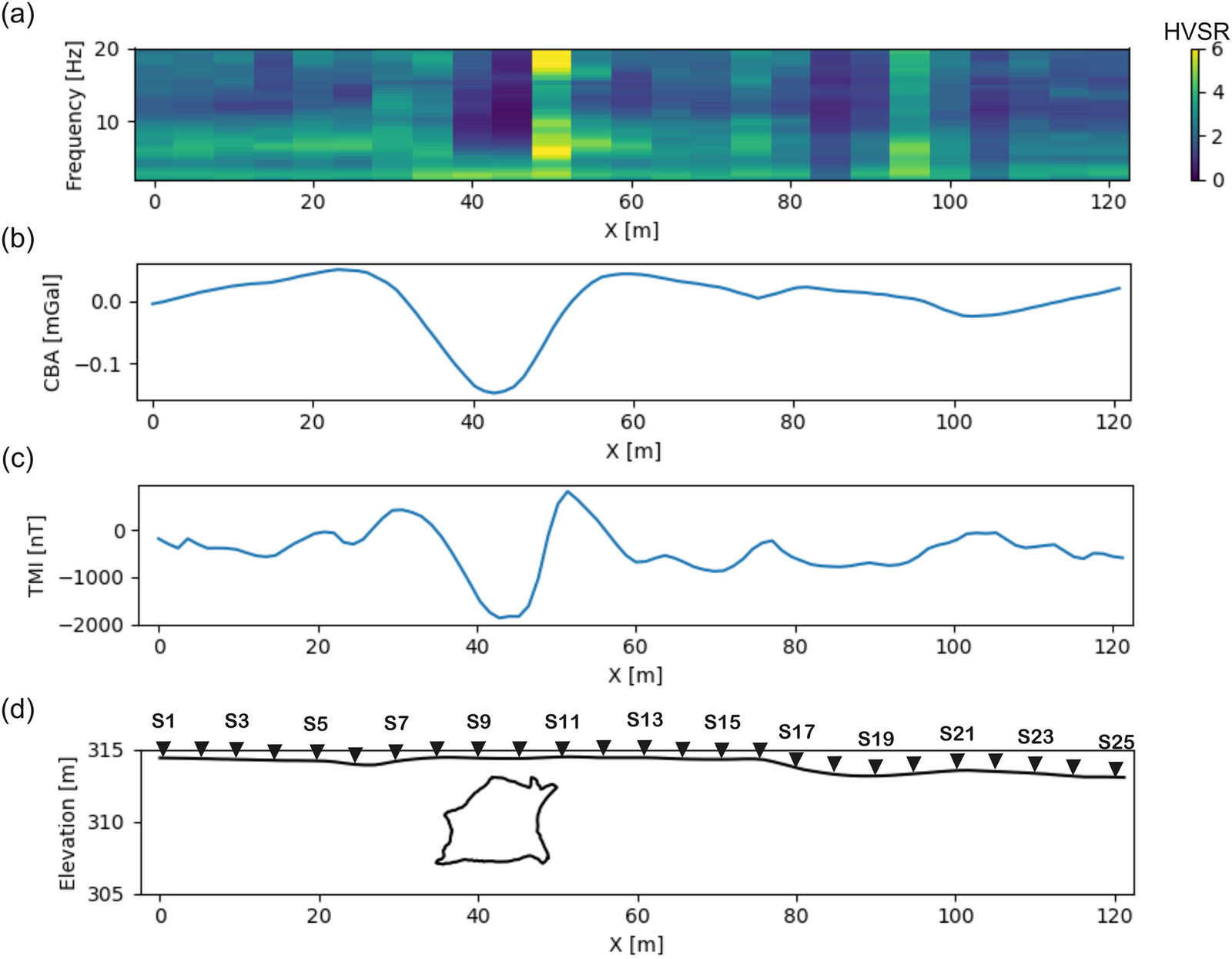 Four strips sharing one horizontal axis along profile P1: HVSR spectrogram, gravity anomaly curve, magnetic anomaly curve, and the true section of the tube below the stations.